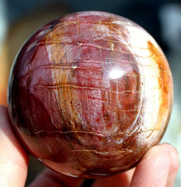 Kugel VERSTEINERTES HOLZ – Bild 3