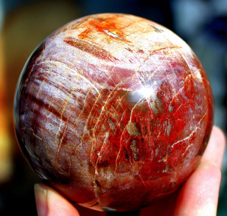 Kugel VERSTEINERTES HOLZ