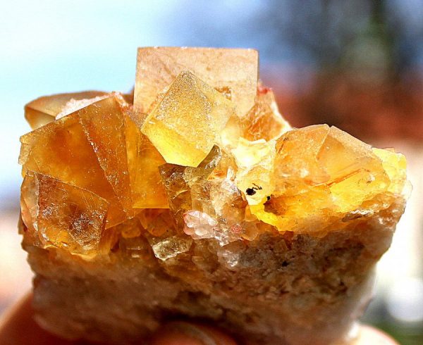 Gelber FLUORIT xx - Image 3