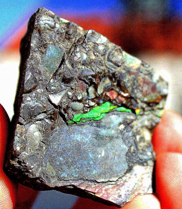 TOP RARITÄT - MUSCHELMARMOR – Bild 2