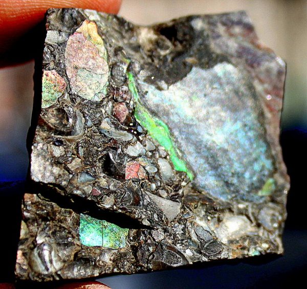 TOP RARITÄT - MUSCHELMARMOR – Bild 3