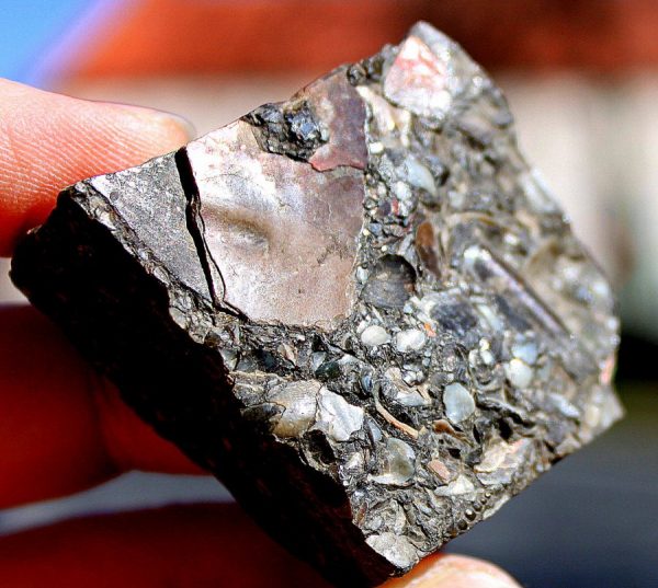 TOP RARITÄT - MUSCHELMARMOR – Bild 5