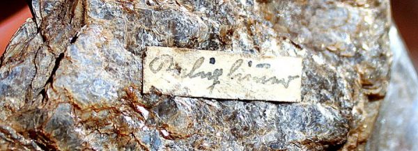 MUSCOVIT xx - SAUALPE – Bild 4