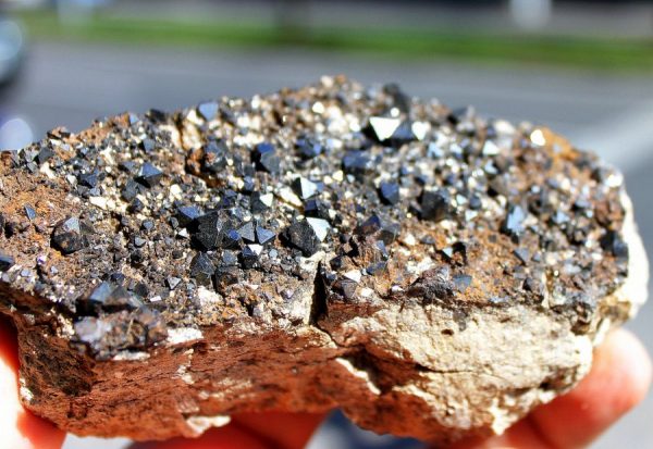 Magnetit xx - BOLIVIEN – Bild 2