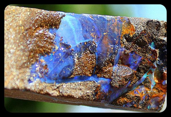 EDEL OPAL - QUEENSLAND - Image 2