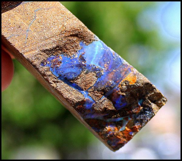 EDEL OPAL - QUEENSLAND - Image 3