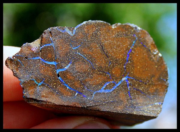 EDEL OPAL in MATRIX -  Australien - Image 3