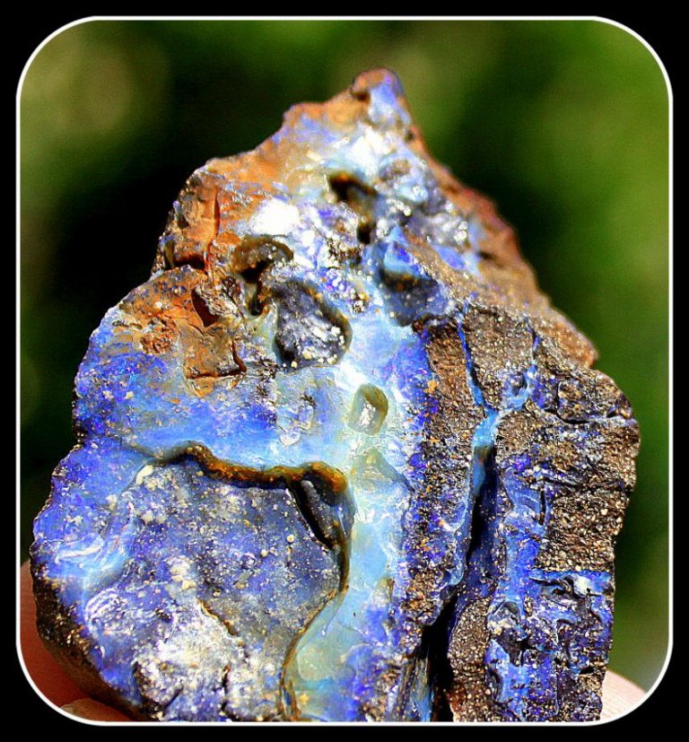 EDEL OPAL in MATRIX -  Australien
