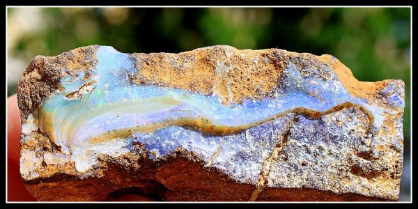EDELOPAL auf Matrix - Australien - Image 3