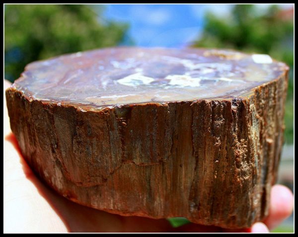 Verst.HOLZ mit ACHAT - Madagaskar - Image 2
