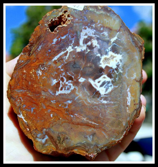Verst.HOLZ mit ACHAT - Madagaskar - Image 4