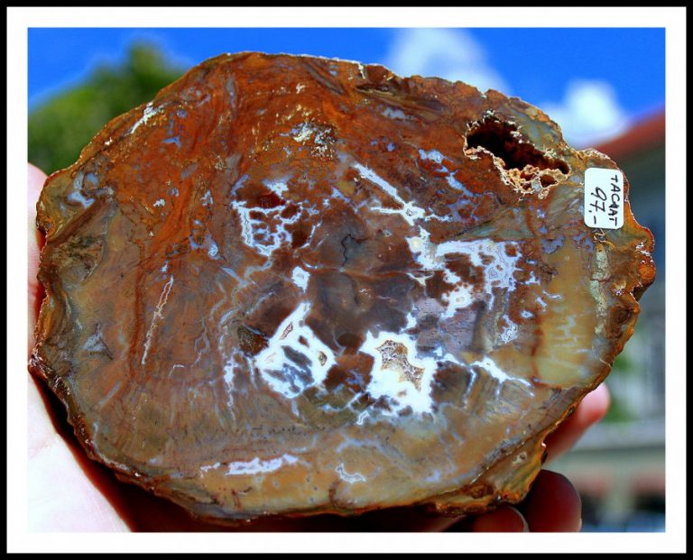 Verst.HOLZ mit ACHAT - Madagaskar