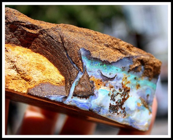 Australien  EDEL OPAL - ROH - 画像3