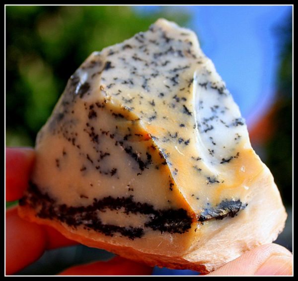Dendriten CHALCEDON "Mückenstein" ROH – Bild 2