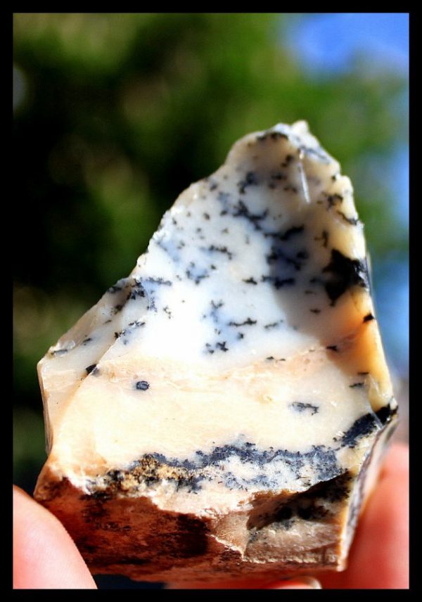 Dendriten CHALCEDON "Mückenstein" ROH – Bild 3