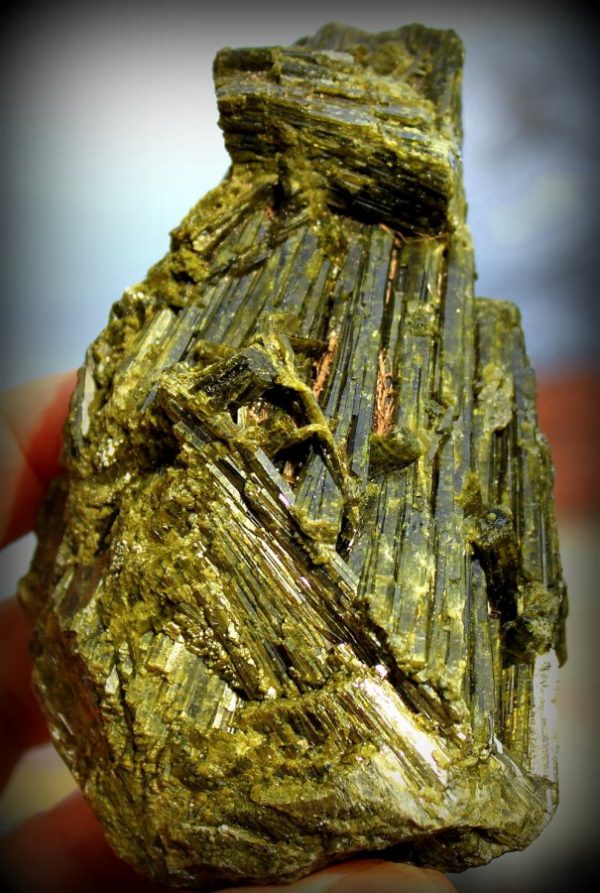 EPIDOT xx Madagaskar – Bild 3