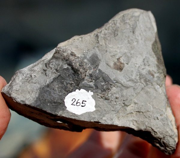 MUSCHELMARMOR - BLEIBERG - 画像3