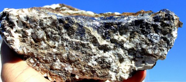 SCHALENBLENDE - BLEIBERG - Image 4