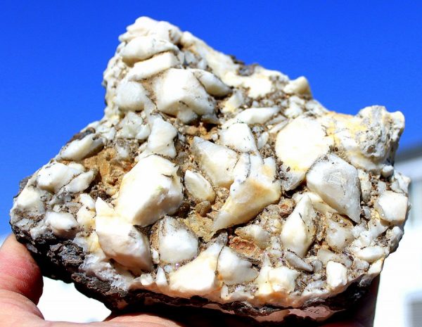 SCHALENBLENDE - BLEIBERG - 画像4
