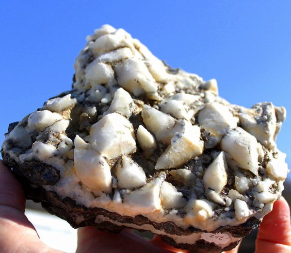 SCHALENBLENDE - BLEIBERG - 画像5