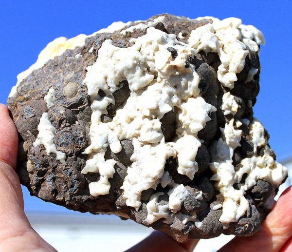 SCHALENBLENDE - BLEIBERG - 画像6