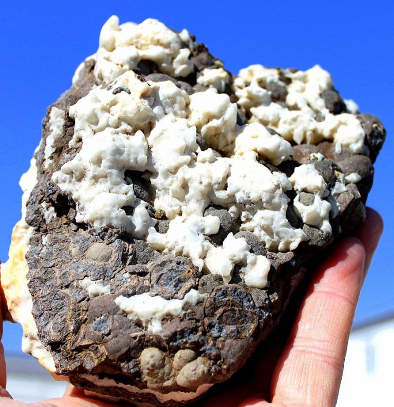 SCHALENBLENDE - BLEIBERG