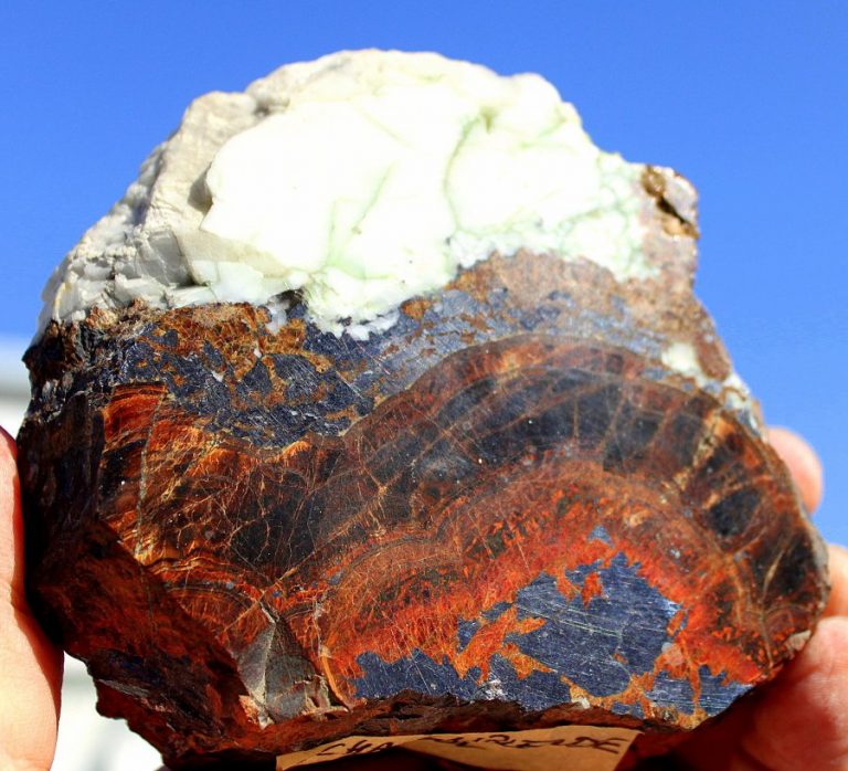 SCHALENBLENDE - Anpoliert