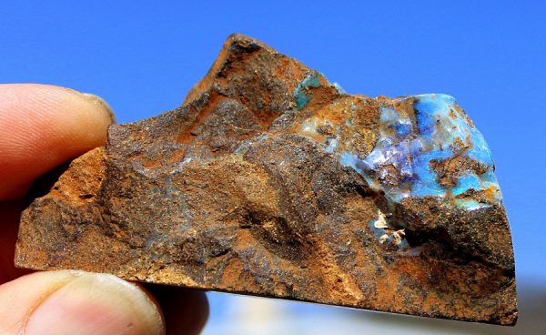 OPAL - Australien - 画像2