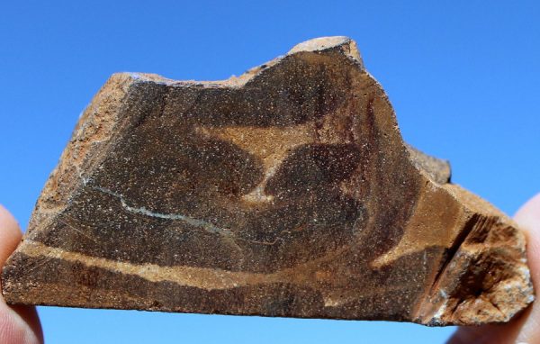 OPAL - Australien - 画像3