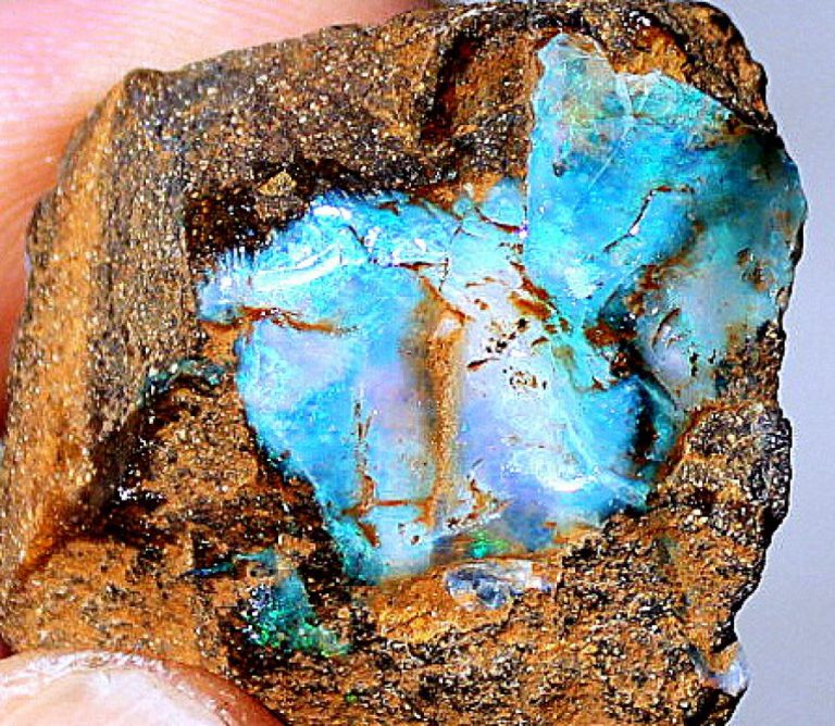 EDEL OPAL