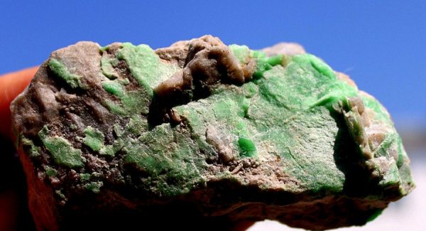 UTAH "Türkis" - VARISCIT - 画像2