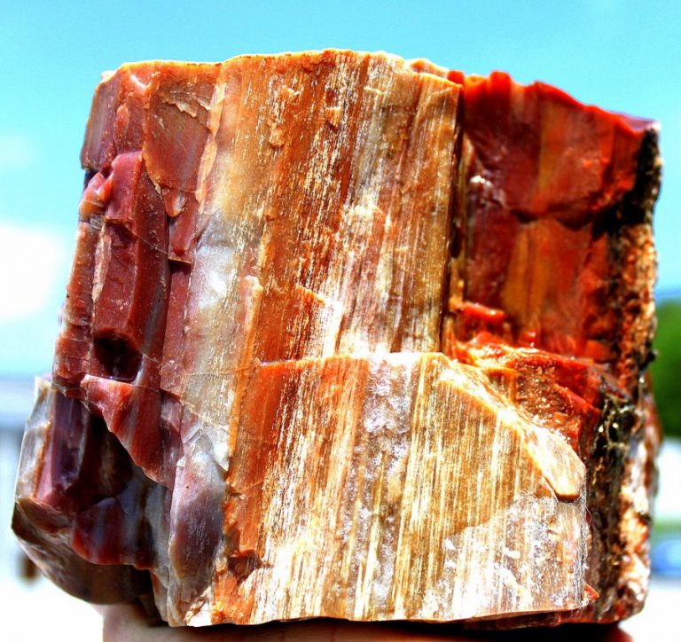 RARITÄT: Verst. HOLZ- ARIZONA