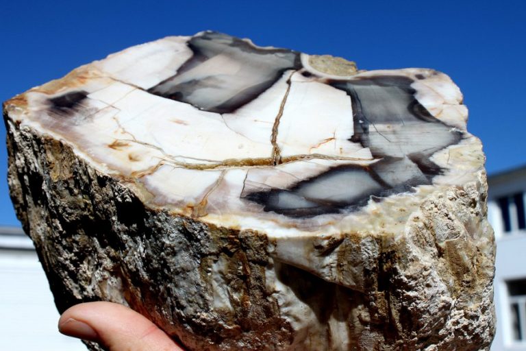 Verst. HOLZ - ARIZONA