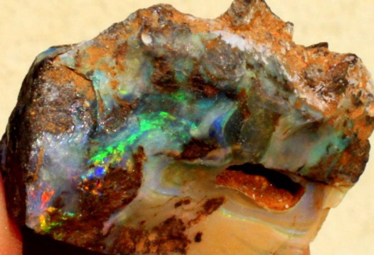 EDELOPAL - Australien