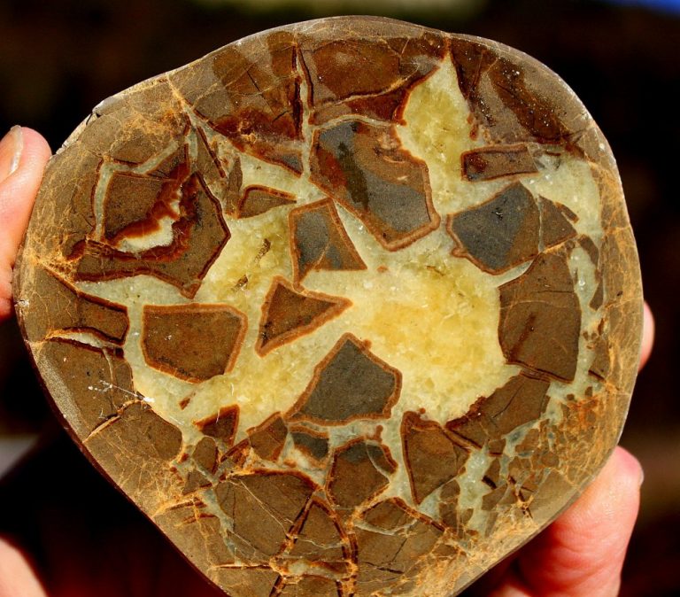 SEPTARIE