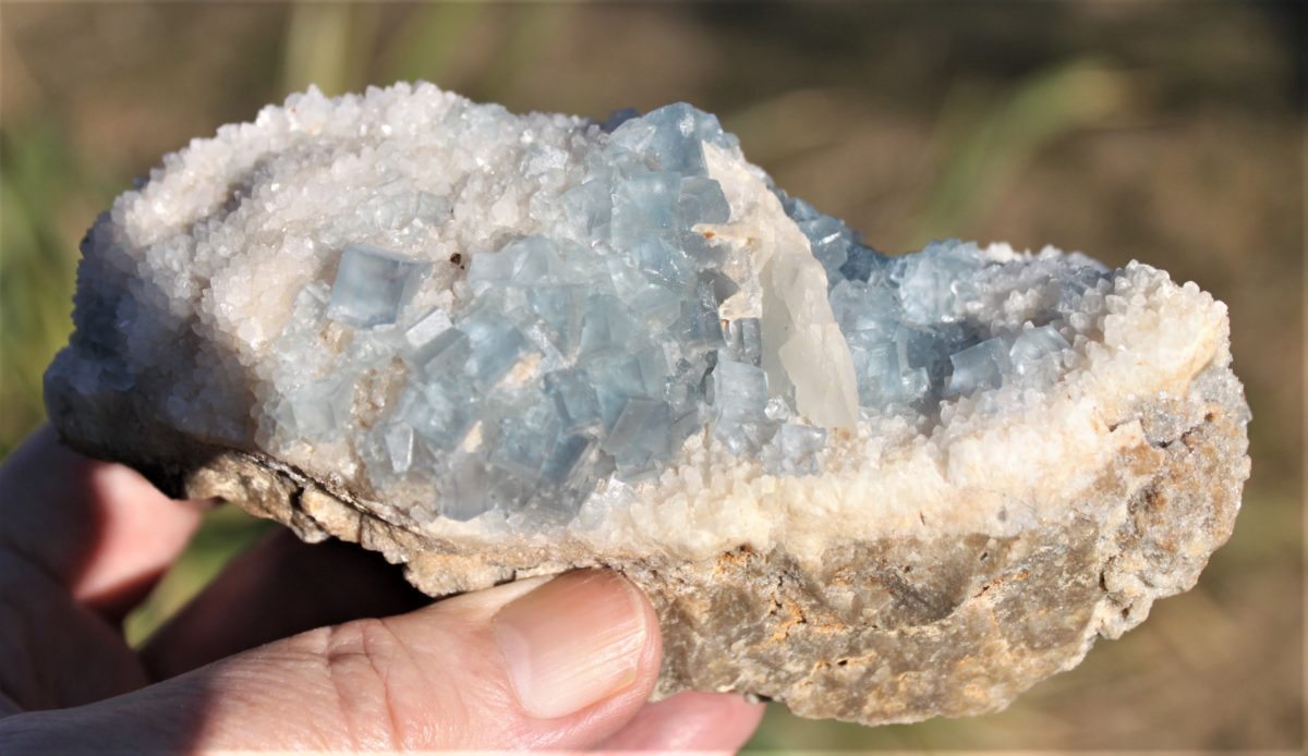1A FLUORITxx  - New Mexico USA