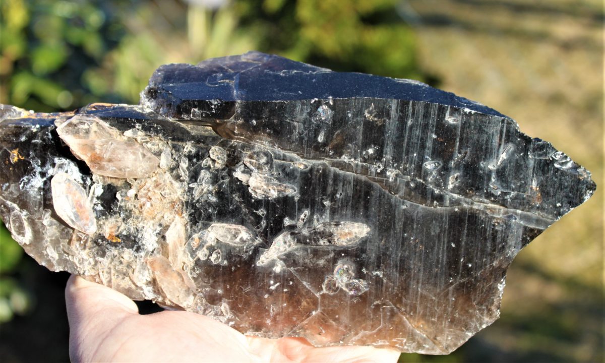 Diamantina - Morion/ Rauchquarz xx