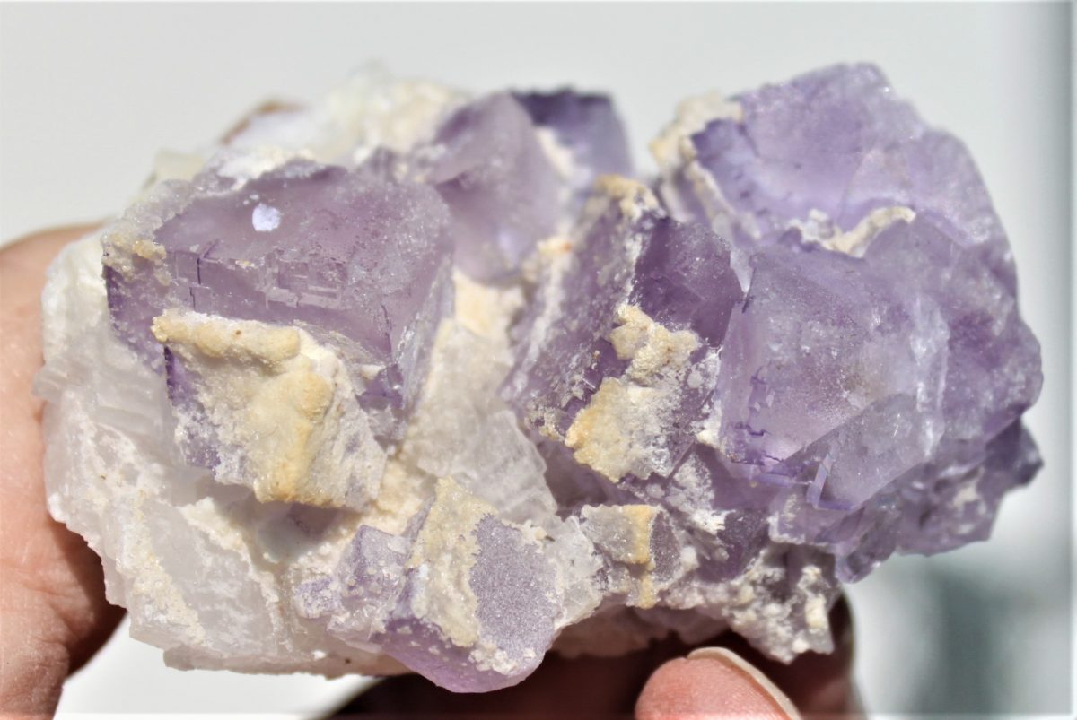 Fluorit xx - Coahuila Mexico