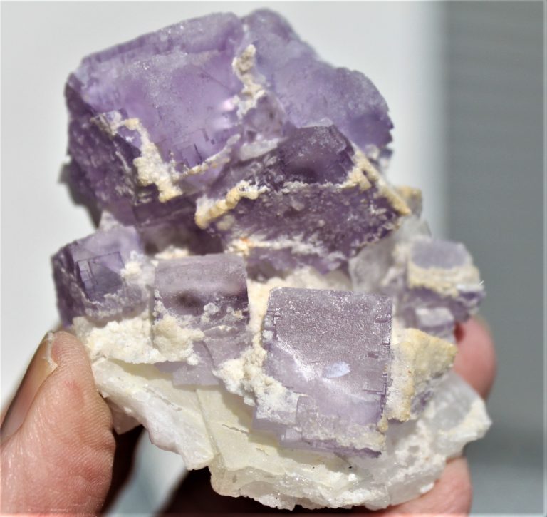 Fluorit xx - Coahuila Mexico