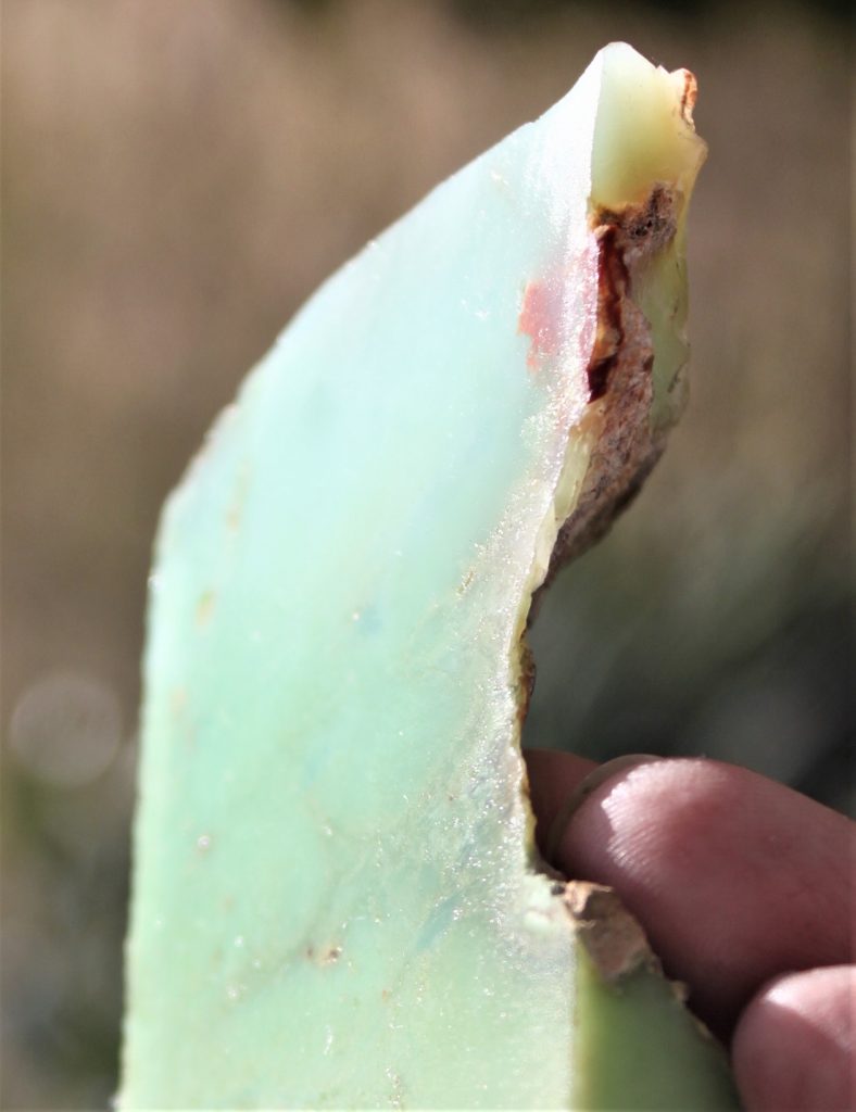 CHRYSOPRAS