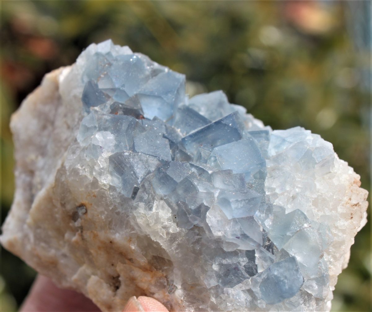 Blauer Fluorit xx Western Mining - USA