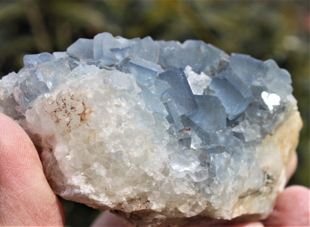 Blauer Fluorit xx Western Mining - USA