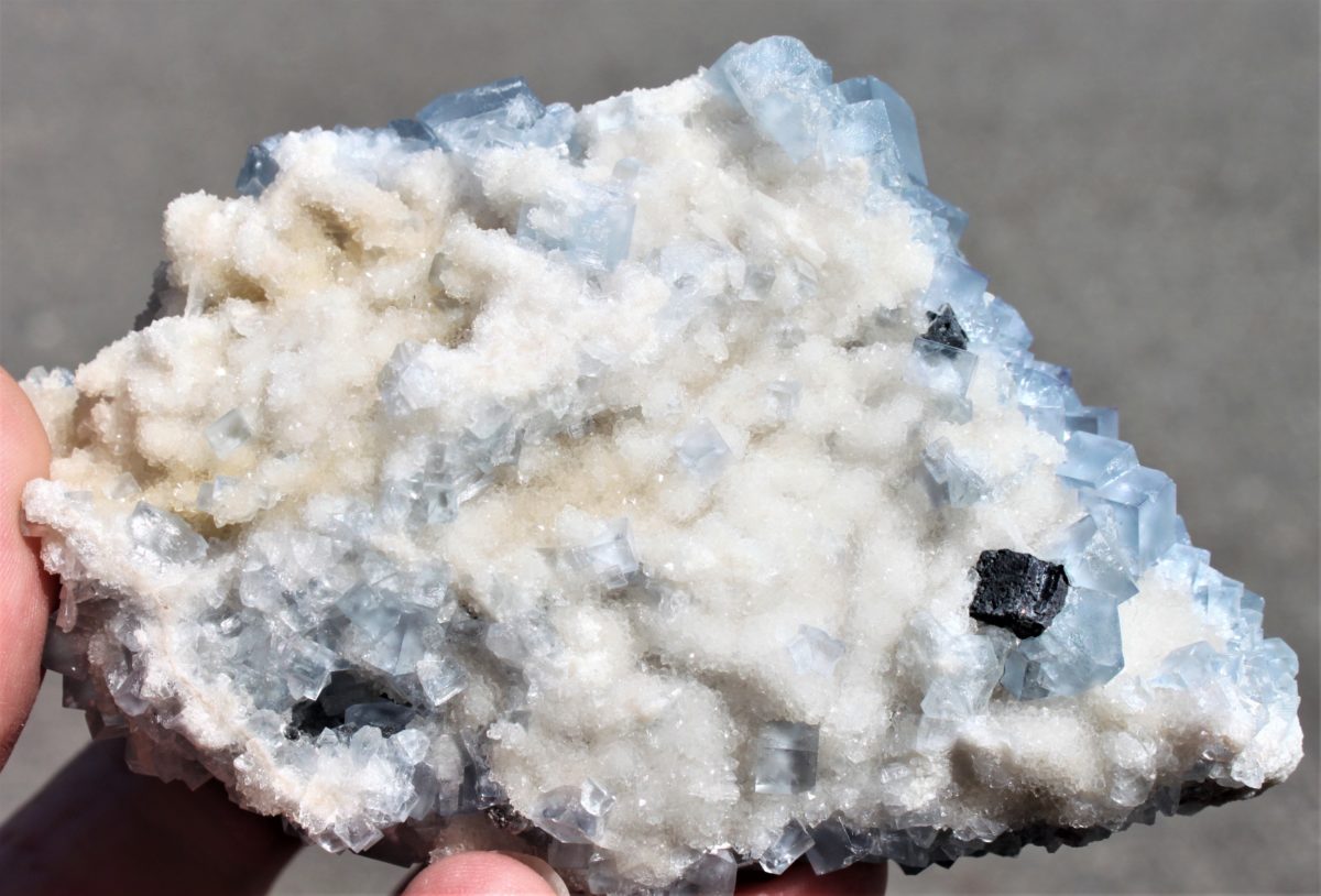 Blauer Fluorit xx - Socorro County - New Mexico USA