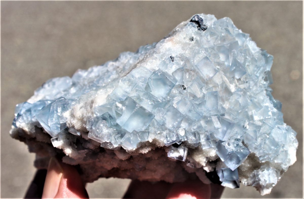 Blauer Fluorit xx - Socorro County - New Mexico USA