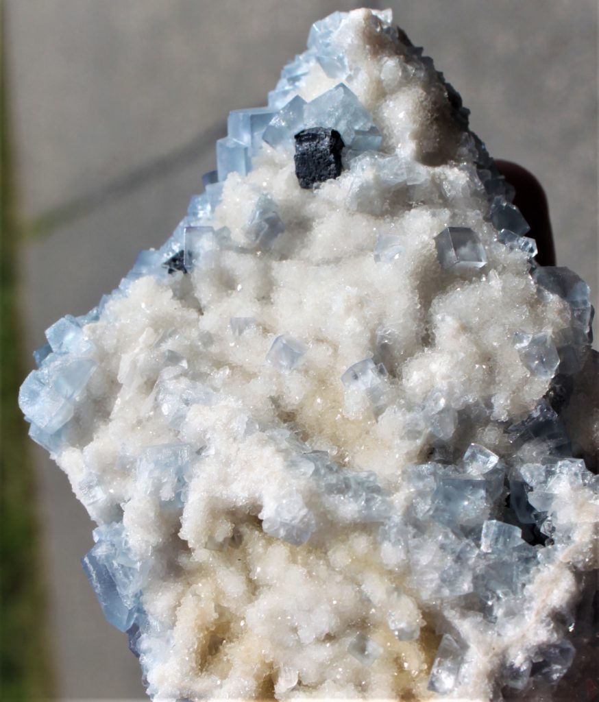 Blauer Fluorit xx - Socorro County - New Mexico USA