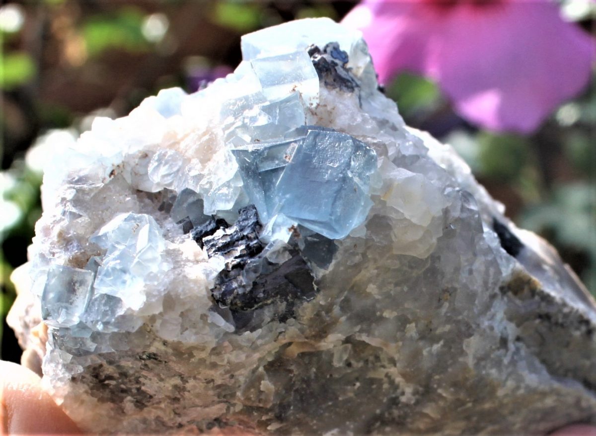 Blaue Fluorite xx - Bingham