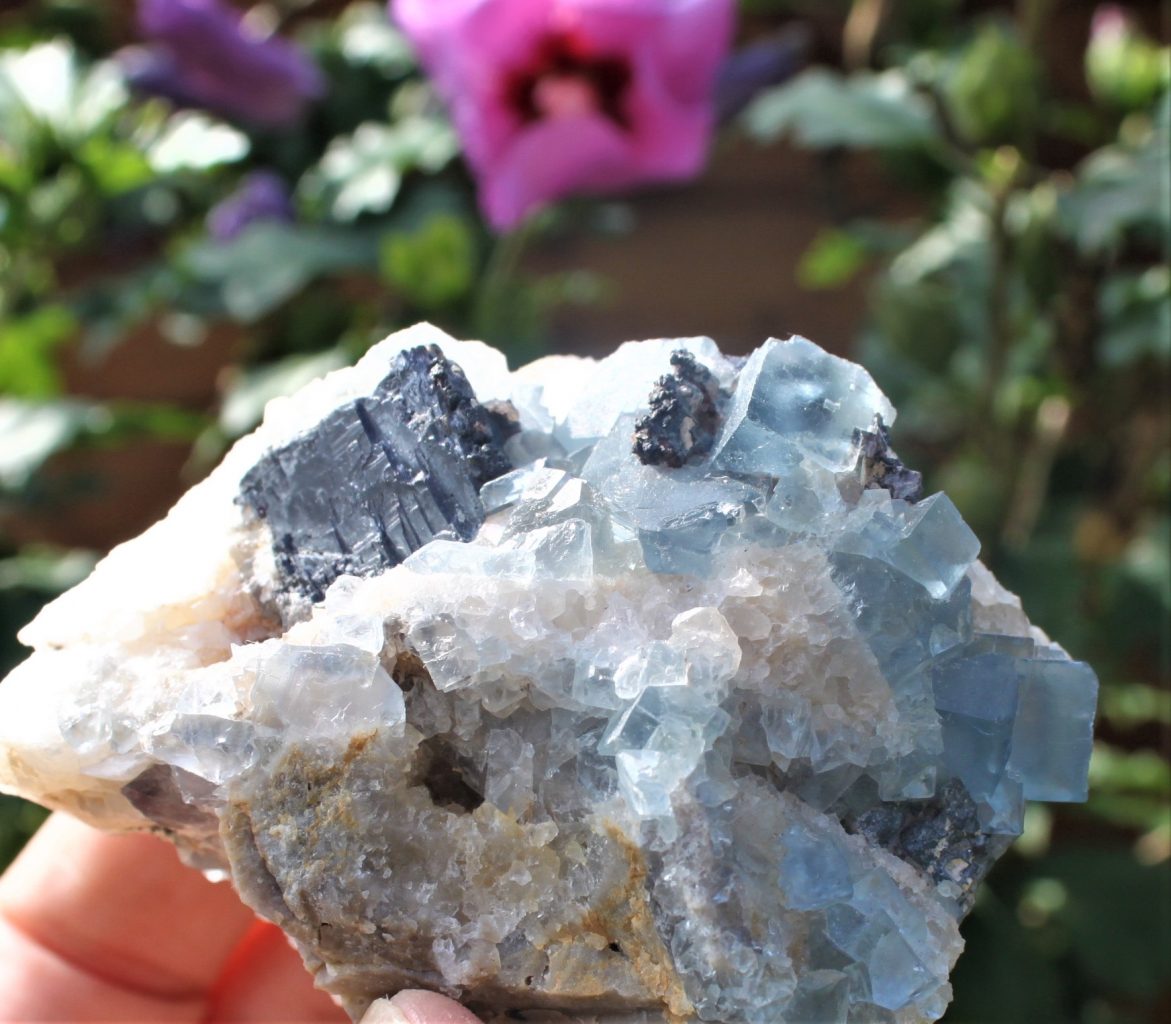 Blaue Fluorite xx - Bingham