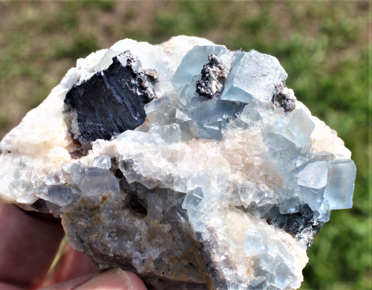 Blaue Fluorite xx - Bingham