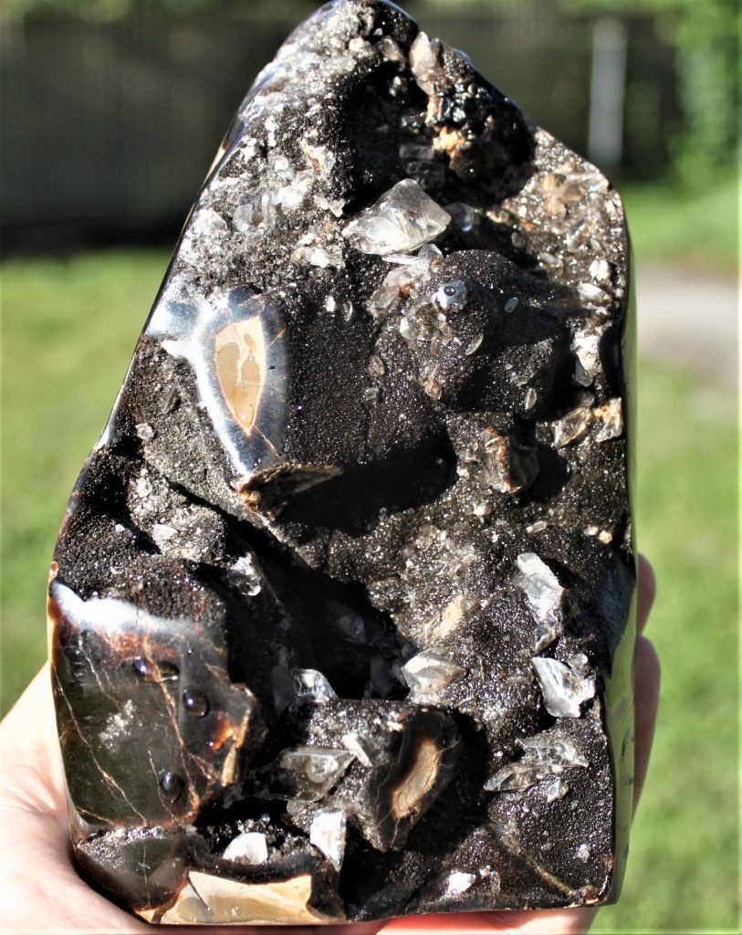 Septerye "Dragon Egg"