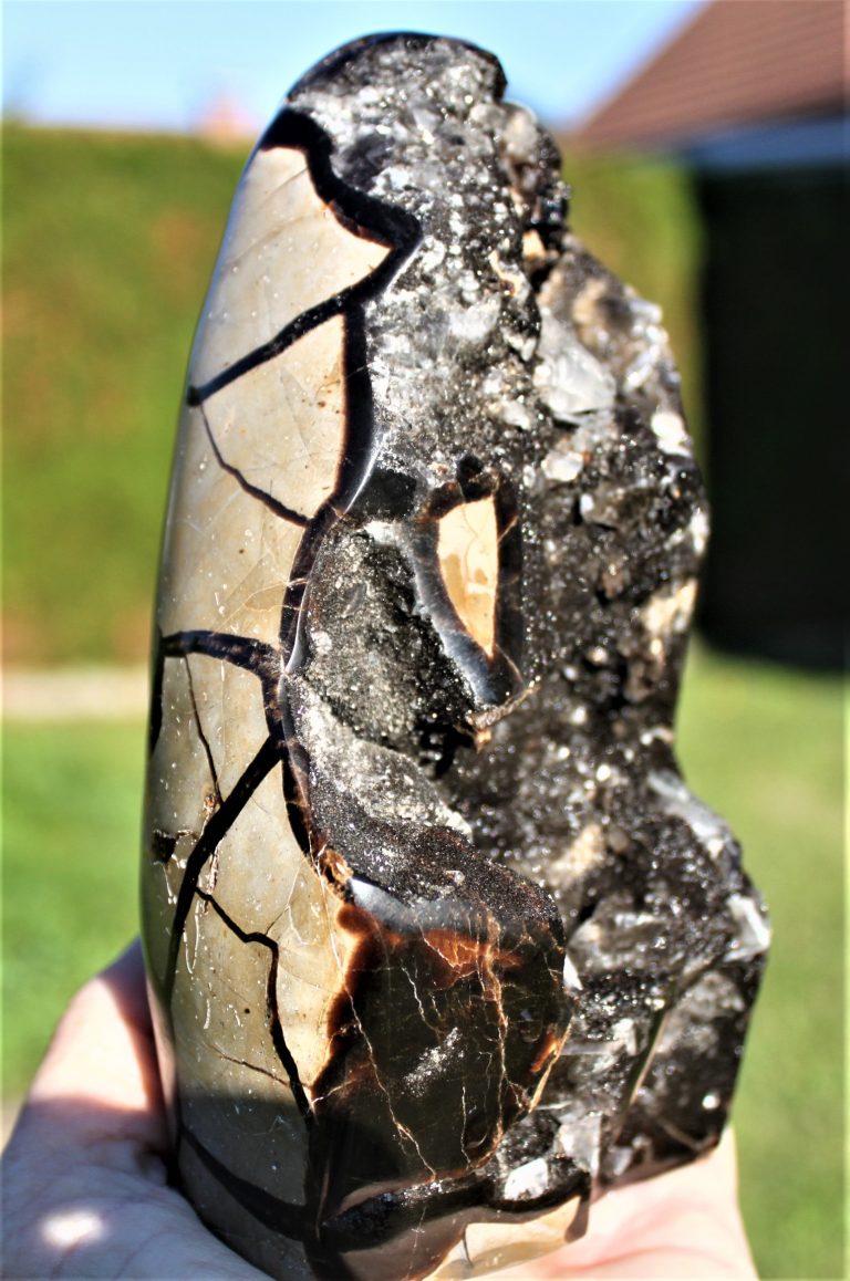 Septerye "Dragon Egg"